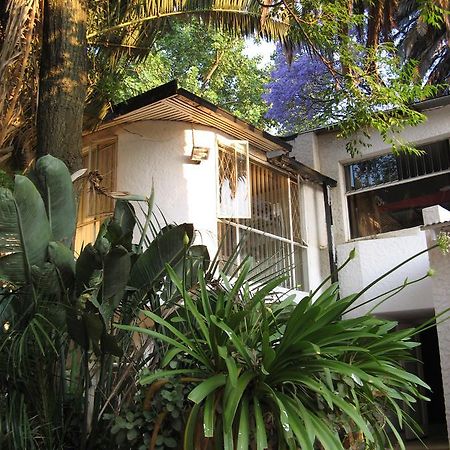 Rosebank Hostel Γιοχάνεσμπουργκ Εξωτερικό φωτογραφία